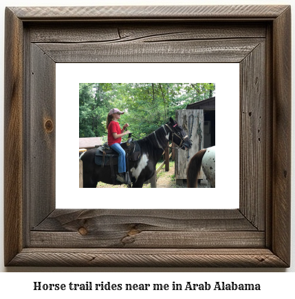 horse trail rides near me in Arab, Alabama